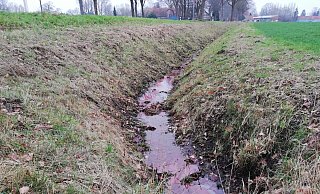 Die rötliche Färbung im Wasser des Straßengrabens an der Leverner Maschstraße Ende Januar war gut zu erkennen. - Joern Spreen-Ledebur Die rötliche Färbung im Wasser des Straßengrabens an der Leverner Maschstraße Ende Januar war gut zu erkennen. - Joern Spreen-Ledebur