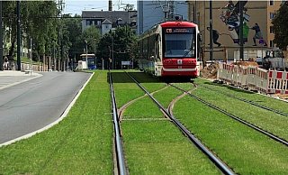 Einer der wenigen unumstrittenen Punkte: Beim Weiterbau der Linie 1 nach Sennestadt sind Rasengleise geplant. Sie sollen leiser sein. - MoBiel Einer der wenigen unumstrittenen Punkte: Beim Weiterbau der Linie 1 nach Sennestadt sind Rasengleise geplant. Sie sollen leiser sein. - MoBiel
