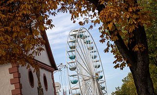 Neun Tage lang findet in Paderborn Herbstlibori statt. - Niklas Tüns Neun Tage lang findet in Paderborn Herbstlibori statt. - Niklas Tüns