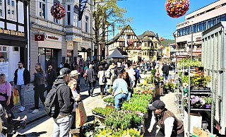 Pflanzenmarkt Innenstadt Höxter - Simone Flörke Pflanzenmarkt Innenstadt Höxter - Simone Flörke