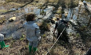 Mit Wathose und per Leine gesichert geht ein Hövelhofer Feuerwehrmann zur Tierrettung in den Schlamm. - Feuerwehr Hövelhof Mit Wathose und per Leine gesichert geht ein Hövelhofer Feuerwehrmann zur Tierrettung in den Schlamm. - Feuerwehr Hövelhof