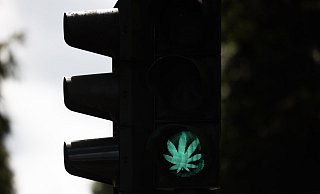Der Bundestag hat die kontrollierte Cannabis-Freigabe beschlossen. - Rolf Vennenbernd/dpa Der Bundestag hat die kontrollierte Cannabis-Freigabe beschlossen. - Rolf Vennenbernd/dpa
