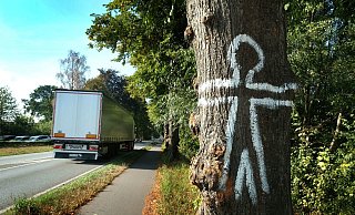 Der geplante Ausbau der B61 wird heftig diskutiert - auch wenn er derzeit noch gar nicht auf der Agenda der Straßenbaubehörden steht. - Andreas Frücht Der geplante Ausbau der B61 wird heftig diskutiert - auch wenn er derzeit noch gar nicht auf der Agenda der Straßenbaubehörden steht. - Andreas Frücht