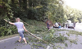Eine Buche ist auf der B 239 auf ein Auto gestürzt. - Heike von Schulz Eine Buche ist auf der B 239 auf ein Auto gestürzt. - Heike von Schulz