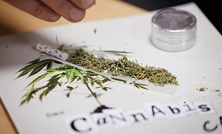 Seit April ist der Konsum von Cannabis in Deutschland unter Auflagen erlaubt. - Friso Gentsch/dpa Seit April ist der Konsum von Cannabis in Deutschland unter Auflagen erlaubt. - Friso Gentsch/dpa