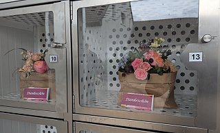 Über 18 Fächer verfügt der Blumenautomat, der klimatisiert ist, um die Arrangements frisch zu halten. - Susanne Blersch Über 18 Fächer verfügt der Blumenautomat, der klimatisiert ist, um die Arrangements frisch zu halten. - Susanne Blersch