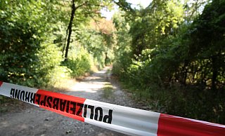 Das Täterduo saß ursprünglich im Wald auf einer Parkbank. Als Vater und Kind auftauchten, zückte einer sein Messer. - Symbolfoto: Andreas Frücht Das Täterduo saß ursprünglich im Wald auf einer Parkbank. Als Vater und Kind auftauchten, zückte einer sein Messer. - Symbolfoto: Andreas Frücht
