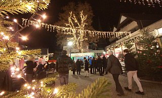 Der Höxteraner Weihnachtsmarkt soll laut Werbegemeinschaft Höxter stattfinden. - (Archivbild) David Schellenberg Der Höxteraner Weihnachtsmarkt soll laut Werbegemeinschaft Höxter stattfinden. - (Archivbild) David Schellenberg