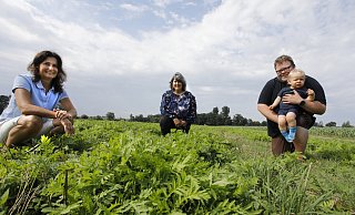Conny Oberwelland (l.), Claudia Quirini-Jürgens und Landwirt Konrad Steinlage zwischen frisch nachwachsendem Rainfarn. - Roland Thöring Conny Oberwelland (l.), Claudia Quirini-Jürgens und Landwirt Konrad Steinlage zwischen frisch nachwachsendem Rainfarn. - Roland Thöring