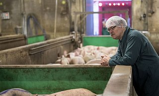 "Nicht jeder Verbraucher möchte sich das ansehen": Jörg Altemeier schaut sich die Schlachtung an allen Tönnies-Schlachtstandorten von Berufs wegen täglich an. - Tönnies "Nicht jeder Verbraucher möchte sich das ansehen": Jörg Altemeier schaut sich die Schlachtung an allen Tönnies-Schlachtstandorten von Berufs wegen täglich an. - Tönnies