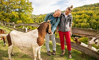 Die schönsten Wandertouren im Kreis Höxter: Tierisch was zu entdecken gibt es auf den Wanderwegen um Beverungen. - Teutoburger Wald Tourismus/Dominik Ketz Die schönsten Wandertouren im Kreis Höxter: Tierisch was zu entdecken gibt es auf den Wanderwegen um Beverungen. - Teutoburger Wald Tourismus/Dominik Ketz