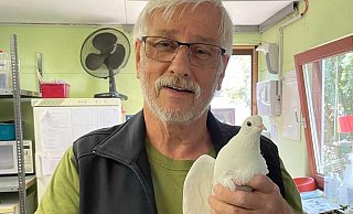 Helmut Tiekötter hat den Taubenschutz in Bielefeld über Jahrzehnte geprägt. - Tierschutzverein Bielefeld Helmut Tiekötter hat den Taubenschutz in Bielefeld über Jahrzehnte geprägt. - Tierschutzverein Bielefeld