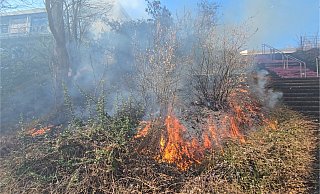 In Höxter musste die Freiwillige Feuerwehr einen Böschungsbrand zwischen Gymnasium und Realschule löschen. - Thomas Kube In Höxter musste die Freiwillige Feuerwehr einen Böschungsbrand zwischen Gymnasium und Realschule löschen. - Thomas Kube