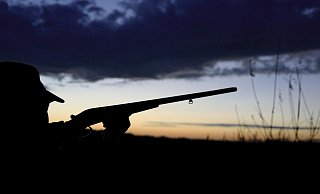 Am Pfingstwochenende sind in NRW eine Jägerin und ein Jäger von Unbekannten attackiert worden. - picture alliance Am Pfingstwochenende sind in NRW eine Jägerin und ein Jäger von Unbekannten attackiert worden. - picture alliance