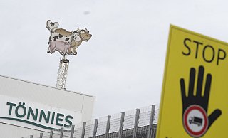 Der Tönnies-Konzern steht seit dem desaströsen Ausbruch des Coronavirus im Betrieb Mitte Juni massiv in der Kritik. - picture alliance / Flashpic Der Tönnies-Konzern steht seit dem desaströsen Ausbruch des Coronavirus im Betrieb Mitte Juni massiv in der Kritik. - picture alliance / Flashpic
