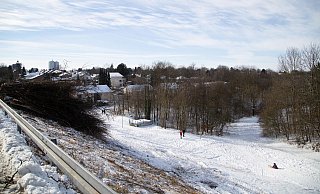 Am Liethstaudamm hat die Stadt jede Menge Gehölz entfernt. - Friedel Ellenbörger Am Liethstaudamm hat die Stadt jede Menge Gehölz entfernt. - Friedel Ellenbörger