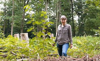 Geht es nach Freyja Diebrock sollte der Wald die Wiederaufforstung selbst übernehmen und der Mensch nur vereinzelt eingreifen. - Ralf Bittner Geht es nach Freyja Diebrock sollte der Wald die Wiederaufforstung selbst übernehmen und der Mensch nur vereinzelt eingreifen. - Ralf Bittner