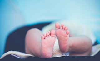 Das Jugendamt hat das Kind aus der Familie genommen. Es gab Hinweise auf Kindesmisshandlung. - Pixabay (Symbolbild) Das Jugendamt hat das Kind aus der Familie genommen. Es gab Hinweise auf Kindesmisshandlung. - Pixabay (Symbolbild)