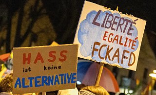 Bereits beim AfD-Neujahrsempfang im Januar in Schloß Neuhaus gab es Protest. - Niklas Tüns Bereits beim AfD-Neujahrsempfang im Januar in Schloß Neuhaus gab es Protest. - Niklas Tüns