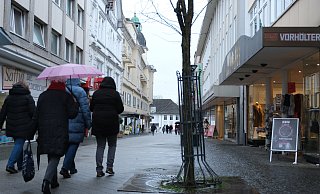 Der Auftrag zur Neupflasterung der unteren Klosterstraße wird in den nächsten Tagen vergeben, auch die zwei Bäume werden gefällt. Die FDP versucht das Projekt noch zu stoppen. - Ulf Hanke Der Auftrag zur Neupflasterung der unteren Klosterstraße wird in den nächsten Tagen vergeben, auch die zwei Bäume werden gefällt. Die FDP versucht das Projekt noch zu stoppen. - Ulf Hanke