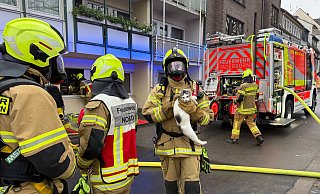 Ein Feuerwehrmann bringt eine der geretteten Katzen ins Freie. - Ralph Meyer Ein Feuerwehrmann bringt eine der geretteten Katzen ins Freie. - Ralph Meyer