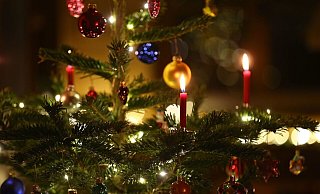 Kerzen brennen in einem Wohnzimmer an einem geschmückten Christbaum: heutzutage oft schon zeitiger im Dezember als früher. (Symbolbild) - picture alliance / Karl-Josef Hildenbrand/dpa Kerzen brennen in einem Wohnzimmer an einem geschmückten Christbaum: heutzutage oft schon zeitiger im Dezember als früher. (Symbolbild) - picture alliance / Karl-Josef Hildenbrand/dpa