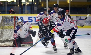 Sebastian Christmann und die Herforder Ice Dragons treffen erneut auf die Hammer Eisbären. Ein Duell, das für beide Fan-Lager von besonderer Bedeutung ist. - Yvonne Gottschlich Sebastian Christmann und die Herforder Ice Dragons treffen erneut auf die Hammer Eisbären. Ein Duell, das für beide Fan-Lager von besonderer Bedeutung ist. - Yvonne Gottschlich