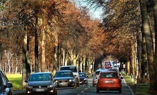 Auf der Bundesstraße 61 zwischen Bielefeld und Gütersloh kommt es oft zu Staus, insbesondere im Berufsverkehr. - Andreas Frücht Auf der Bundesstraße 61 zwischen Bielefeld und Gütersloh kommt es oft zu Staus, insbesondere im Berufsverkehr. - Andreas Frücht