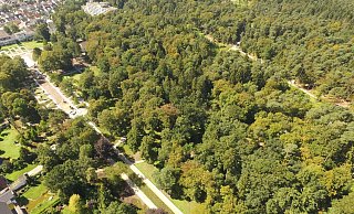 Die Bad Lippspringer Gartenschau wirbt mit ihrer Waldkulisse. - Jens Reddeker Die Bad Lippspringer Gartenschau wirbt mit ihrer Waldkulisse. - Jens Reddeker