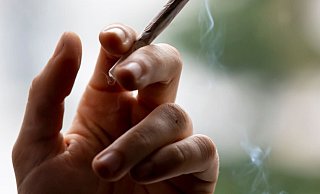 Cannabis ist die am häufigsten konsumierte illegale Droge in Deutschland. - Foto: Fabian Sommer/dpa Cannabis ist die am häufigsten konsumierte illegale Droge in Deutschland. - Foto: Fabian Sommer/dpa