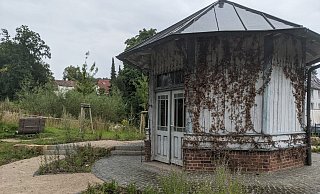 Die Grünen haben das Gerichtsurteil nebst Begründung zum Quellenstreit entdeckt - und machen dem ersten Beigeordneten Michael Scholle heftige Vorwürfe. - Burkhard Battran Die Grünen haben das Gerichtsurteil nebst Begründung zum Quellenstreit entdeckt - und machen dem ersten Beigeordneten Michael Scholle heftige Vorwürfe. - Burkhard Battran