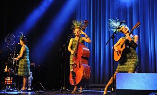 Schwungvolle Show: Die Zucchini Sistaz harmonierten mit Gesang, zahlreichen Instrumenten und charmanter Unterhaltung. - Sandra C. Siegemund Schwungvolle Show: Die Zucchini Sistaz harmonierten mit Gesang, zahlreichen Instrumenten und charmanter Unterhaltung. - Sandra C. Siegemund