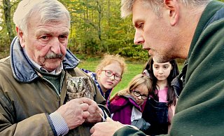 Vor der Freilassung wird das Tier noch mit einem Ring der Vogelwarte Helgoland beringt. - Regionalforstamt Hochstift Vor der Freilassung wird das Tier noch mit einem Ring der Vogelwarte Helgoland beringt. - Regionalforstamt Hochstift