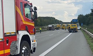 Der Pferdeanhänger rollte nach dem Unfall noch rund 150 Meter führerlos weiter. Das Tier steht unter Schock. - Charlotte Mahncke Der Pferdeanhänger rollte nach dem Unfall noch rund 150 Meter führerlos weiter. Das Tier steht unter Schock. - Charlotte Mahncke
