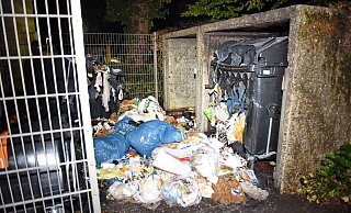 Vier große Container gingen in Flammen auf. Eine Zeugin beobachtete offenbar das Geschehen. - Barbara Franke Vier große Container gingen in Flammen auf. Eine Zeugin beobachtete offenbar das Geschehen. - Barbara Franke