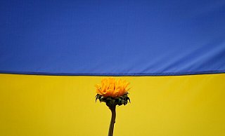 Durch Sanktionen solidarisieren sich die USA weiter mit der Ukraine. (Symbolbild) - Jesus Vargas/ Durch Sanktionen solidarisieren sich die USA weiter mit der Ukraine. (Symbolbild) - Jesus Vargas/