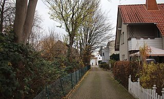 Einige der großen Bäume sind trocken. Herabstürzende Äste können vor allem für Spaziergänger und spielende Kinder gefährlich werden. - Björn Kenter Einige der großen Bäume sind trocken. Herabstürzende Äste können vor allem für Spaziergänger und spielende Kinder gefährlich werden. - Björn Kenter