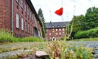 Die leerstehende Rochdale-Kaserne an der Oldentruper Straße könnte Standort von Bundesbehörden werden. - Barbara Franke Die leerstehende Rochdale-Kaserne an der Oldentruper Straße könnte Standort von Bundesbehörden werden. - Barbara Franke