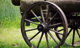 Der Kutschunfall ereignete sich am Mittwochabend im Steinhagener Ortsteil Brockhagen. - Pixabay Der Kutschunfall ereignete sich am Mittwochabend im Steinhagener Ortsteil Brockhagen. - Pixabay