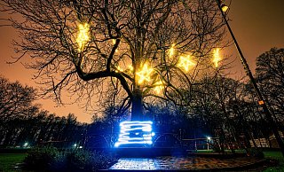 Auf dem Schützenplatz in Paderborn leuchten allabendlich Sterne in der alten Kastanie. - Besim Mazhiqi Auf dem Schützenplatz in Paderborn leuchten allabendlich Sterne in der alten Kastanie. - Besim Mazhiqi