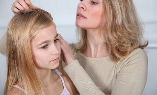Kopfläuse sind im Kreis Höxter auf dem Vormarsch. Die kleinen Parasiten leben vor allem in Kinderhaaren, sorgen für Juckreiz und vermehren sich schnell. - rw-system Kopfläuse sind im Kreis Höxter auf dem Vormarsch. Die kleinen Parasiten leben vor allem in Kinderhaaren, sorgen für Juckreiz und vermehren sich schnell. - rw-system