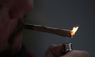 Eine Freigabe von Cannabis zu Genusszwecken für Erwachsene ist im Koalitionsvertrag der Ampelregierung vereibart worden. - (Themenbild) Pixabay Eine Freigabe von Cannabis zu Genusszwecken für Erwachsene ist im Koalitionsvertrag der Ampelregierung vereibart worden. - (Themenbild) Pixabay
