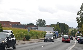 In Lenzinghausen: Links der Bielefelder Straße - dort, wo jetzt noch der Mais steht - sollen bald neue Häuser hochgezogen werden. - Mareike Patock In Lenzinghausen: Links der Bielefelder Straße - dort, wo jetzt noch der Mais steht - sollen bald neue Häuser hochgezogen werden. - Mareike Patock