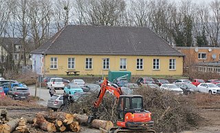 Mehrere Bäume wurden im Februar am Haus der Jugend und auf dem Hockeyplatz gefällt. Der Abriss des Jugendheims verschiebt sich nun aber. - Ulf Hanke Mehrere Bäume wurden im Februar am Haus der Jugend und auf dem Hockeyplatz gefällt. Der Abriss des Jugendheims verschiebt sich nun aber. - Ulf Hanke