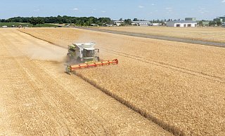 Die Landwirte hoffen nach einem trockenen Frühjahr auf eine durchschnittliche Ernte. (Archivbild) - Sebastian Kahnert/dpa Die Landwirte hoffen nach einem trockenen Frühjahr auf eine durchschnittliche Ernte. (Archivbild) - Sebastian Kahnert/dpa