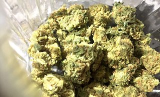 Bis zur Volljährigkeit soll Cannabis nach dem geplanten Gesetz verboten bleiben. - Lino Mirgeler/dpa Bis zur Volljährigkeit soll Cannabis nach dem geplanten Gesetz verboten bleiben. - Lino Mirgeler/dpa
