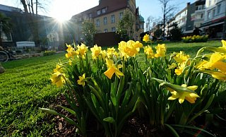 Der Start für den „Frühling" wäre demnach am 18. März, in 42 Tagen. - Andreas Frücht Der Start für den „Frühling" wäre demnach am 18. März, in 42 Tagen. - Andreas Frücht