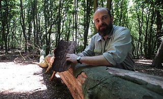 Gefallener Riese: Diese einst stattliche Buche ist vom Borkenkäfer befallen. Förster Markus Uhr zeigt ein Stück Rinde mit den winzigen Bohrlöchern des Käfers. - Jörg Stuke Gefallener Riese: Diese einst stattliche Buche ist vom Borkenkäfer befallen. Förster Markus Uhr zeigt ein Stück Rinde mit den winzigen Bohrlöchern des Käfers. - Jörg Stuke