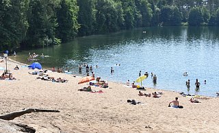 Der Sandstrand des Habichtsee wird von der Stadt Paderborn gesperrt. (Archivbild) - Svenja Ludwig Der Sandstrand des Habichtsee wird von der Stadt Paderborn gesperrt. (Archivbild) - Svenja Ludwig