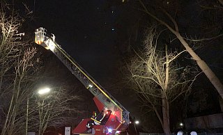 An der Herforder Straße in Enger sägten Feuerwehrleute am Sonntagabend einen abgeknickten Ast ab, der hinab zu fallen drohte. - Feuerwehr Enger An der Herforder Straße in Enger sägten Feuerwehrleute am Sonntagabend einen abgeknickten Ast ab, der hinab zu fallen drohte. - Feuerwehr Enger
